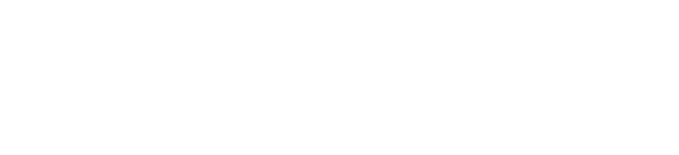 white logo reading 'skyline'