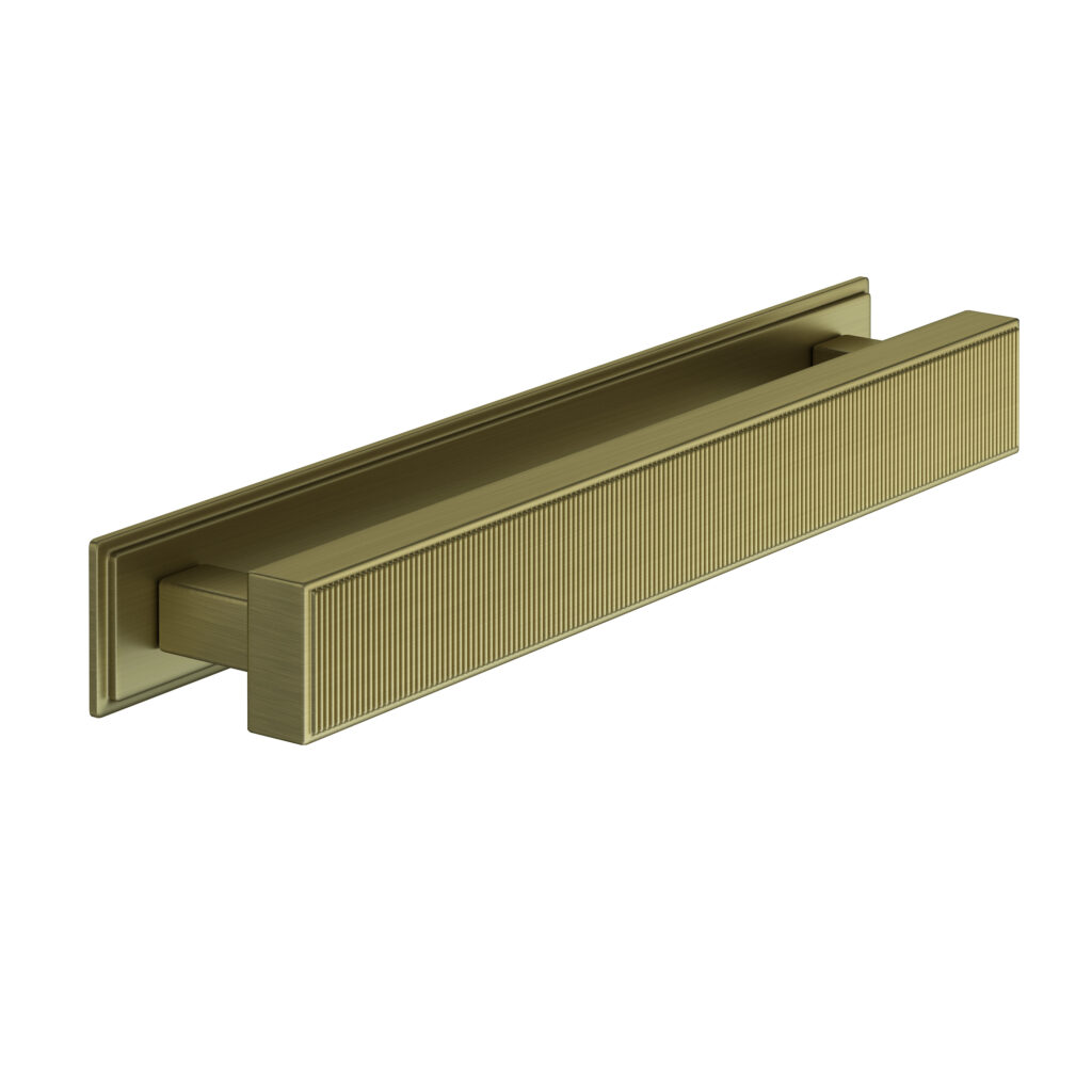 Barrington Brass Pull Handle with Backplate